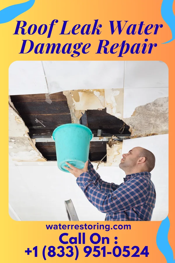 Roof Leak Water Damage Repair in Mascoutah, IL