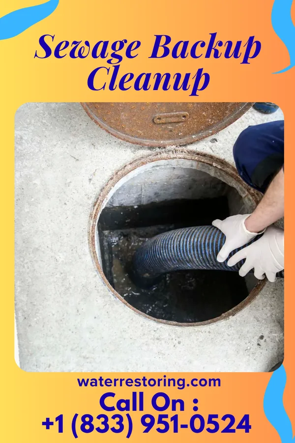 Sewage Backup Cleanup in Mascoutah, IL