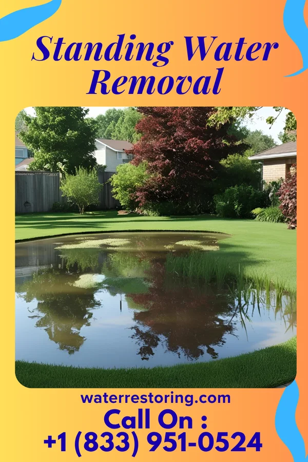 Standing Water Removal in Mascoutah, IL